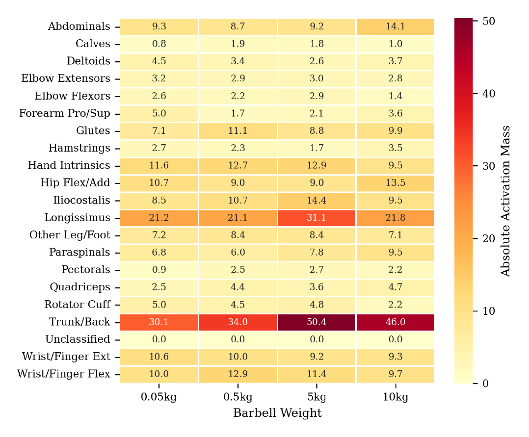 Load-dependent muscle-family activation during powerlift