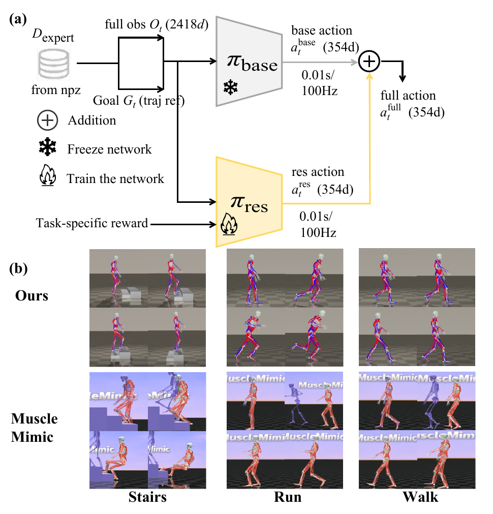 Frozen MuscleMimic prior plus trainable residual controller, with example stair, run, and walk motions